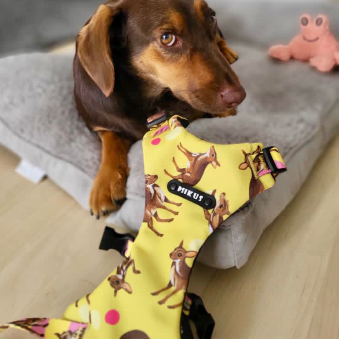 szelki bezuciskowe dla psa