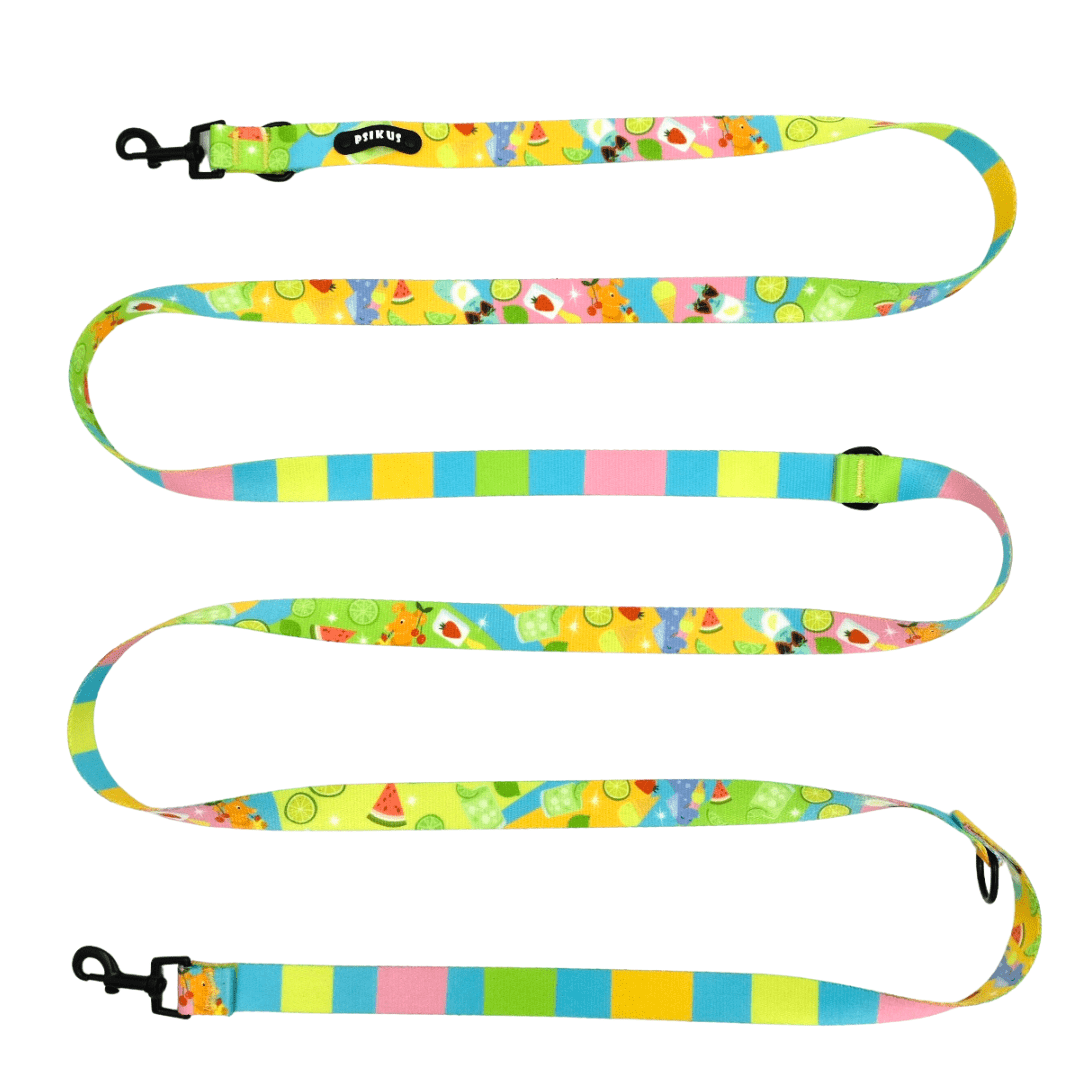 smycz przepinanna dla psa